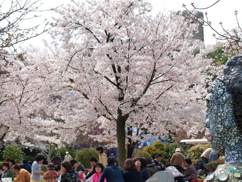 松山市松山総合公園 園内の桜と景色 その１ Ld Saijyo Wtのblog