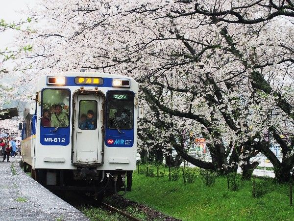 桜の駅 松浦鉄道浦ノ崎駅 Ld Saijyo Wtのblog 桜の駅 松浦鉄道浦ノ崎駅 Ld Saijyo Wtのblog