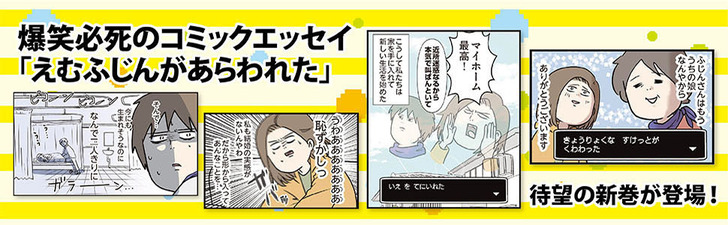えむふじん1