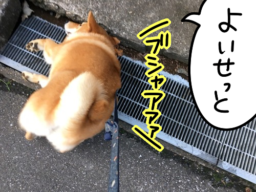 画像8