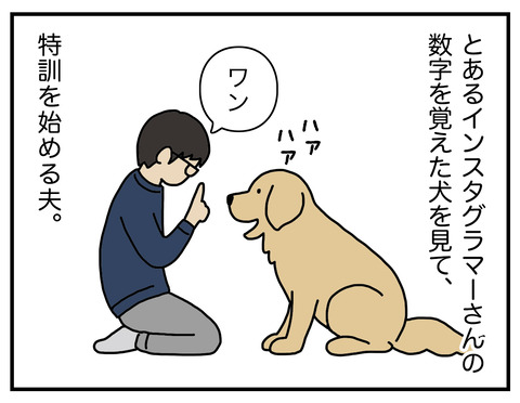 adfbccdb-s