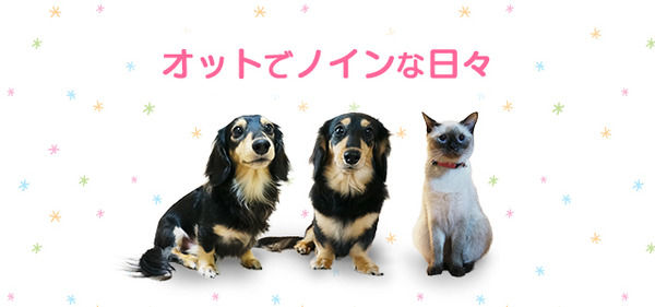 オットでノインな日々