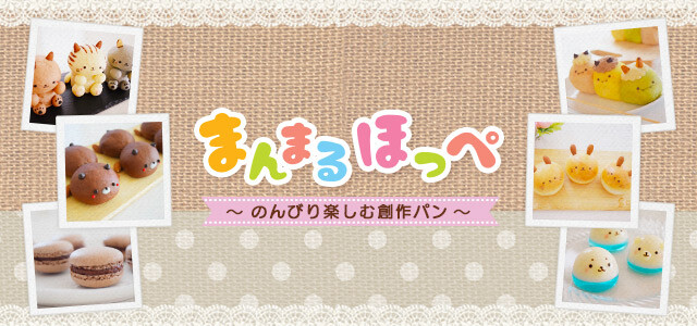 sp_header