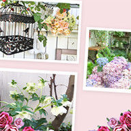 のばらのガーデニングブログ Hana and Rose Garden+