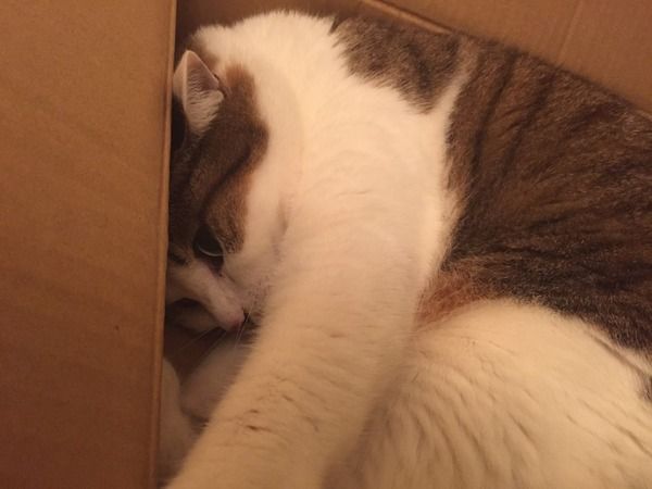 画像5 画像5