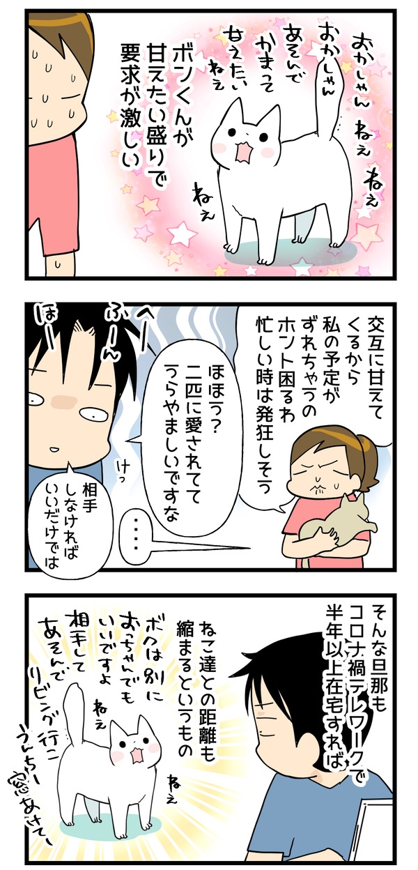 17b93a92-s