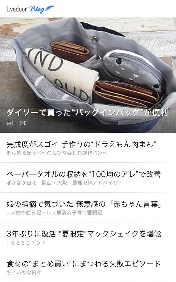 ダイソーで買った“バッグインバッグ”が便利