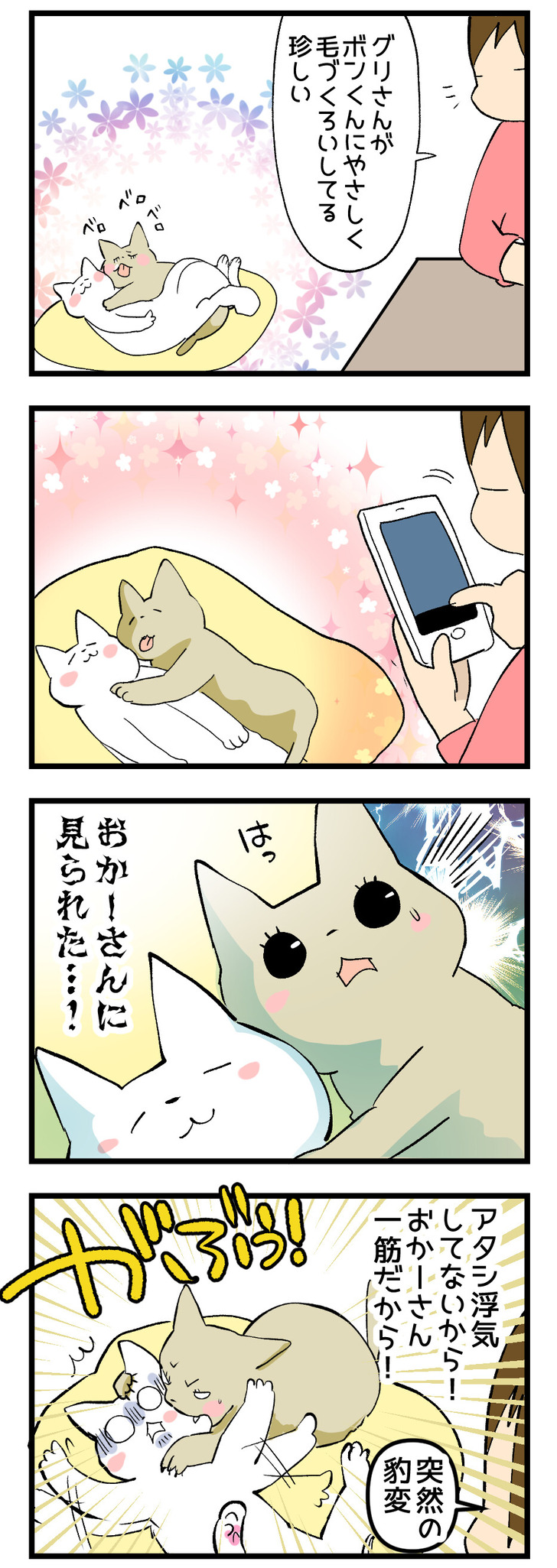 04c4dc1a
