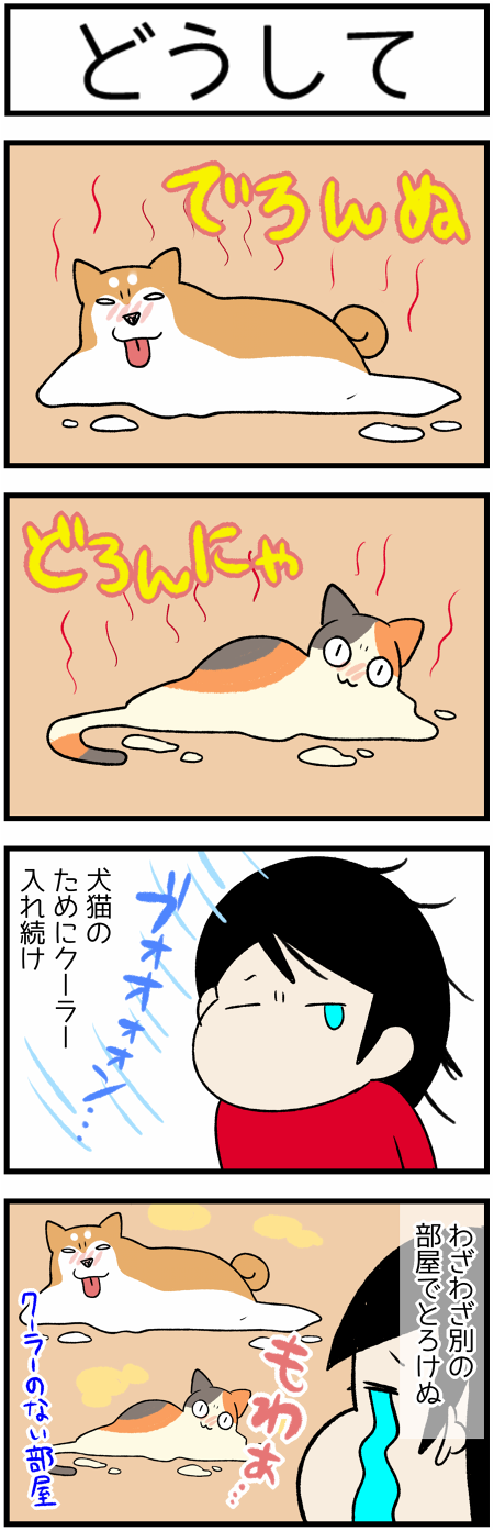 9c7b5f00