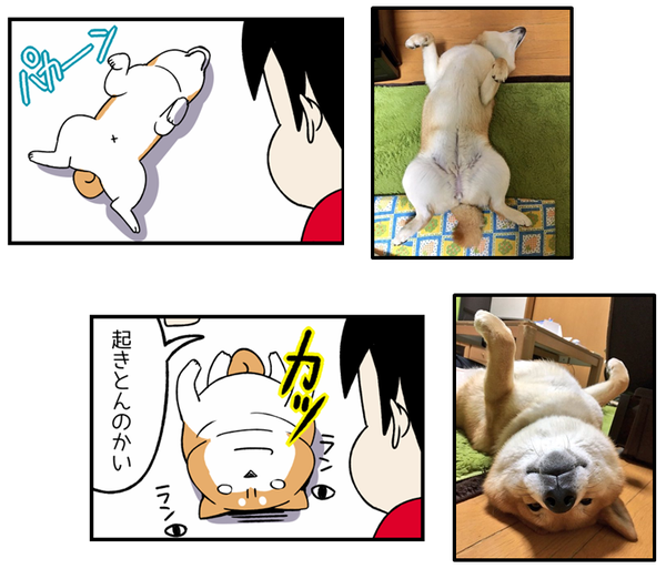 画像2