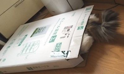 画像6 画像6