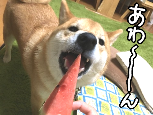 画像1 画像1