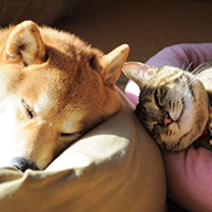 かぼすちゃんとおさんぽ。