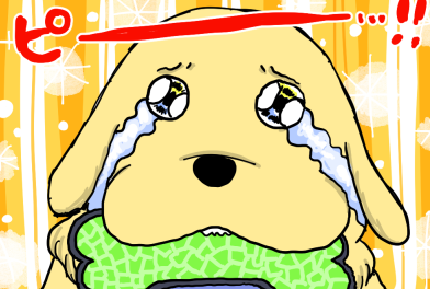 「一日に嬉しいことがたくさんある犬さん」