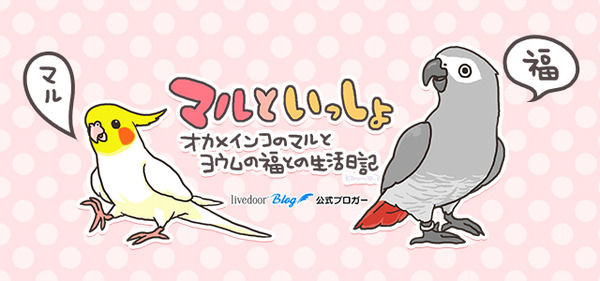 kanmiq.blog.jp