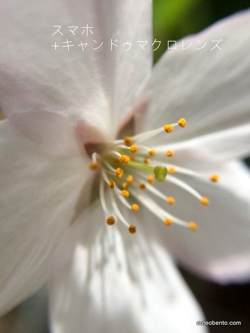 画像2 画像2