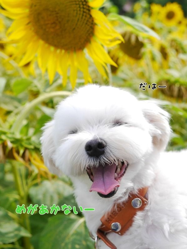 画像3 画像3