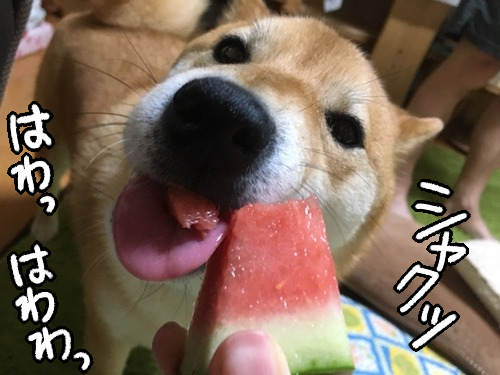 画像2 画像2