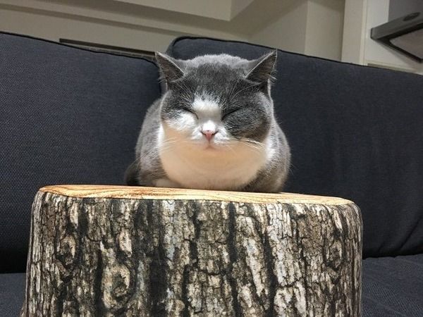 画像4 画像4