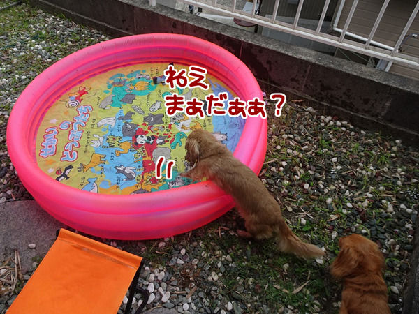 画像5 画像5