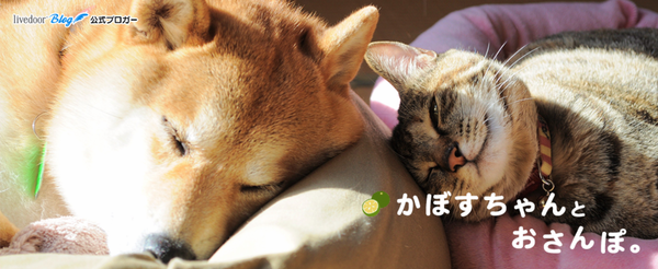 c4a2e598fb501d62b6443ebb063ec97f