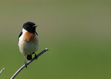 ようこそ軽井沢へ！