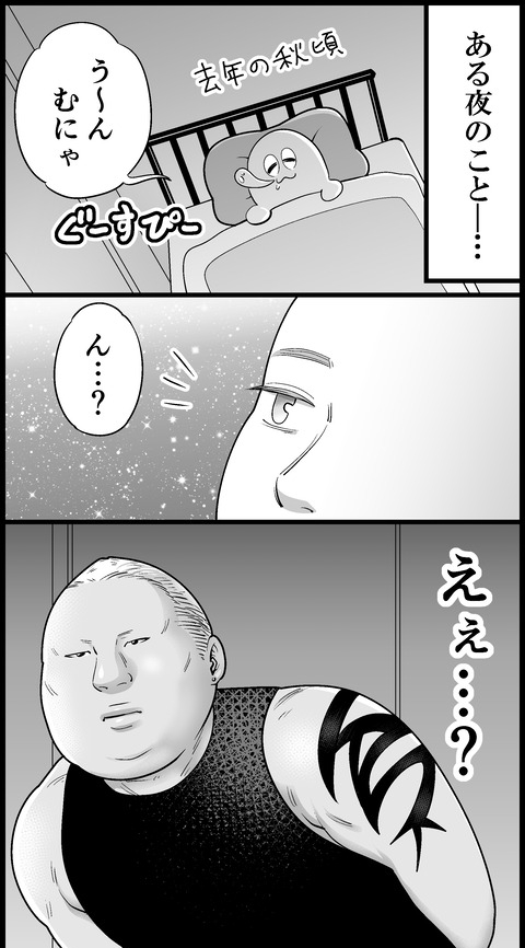 3b6217e6-s