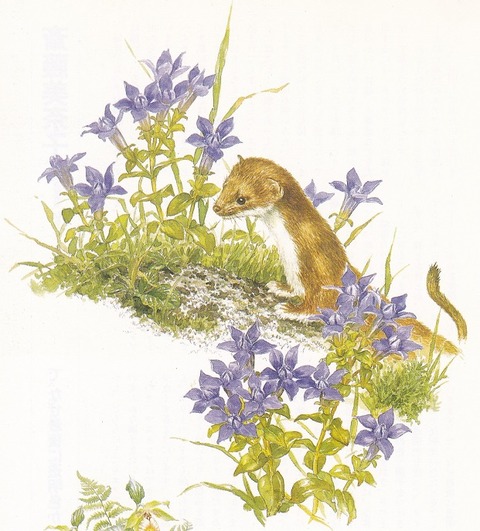 IMG_20210701_0003 (2)