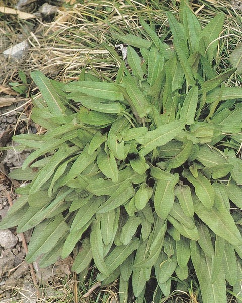 IMG_20211228_0001 (2)