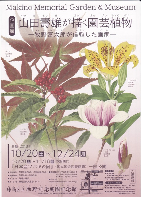botanical-artisuto (2)