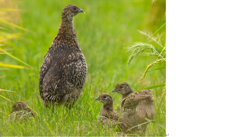 スクリーンショット 2025-06-19 174125