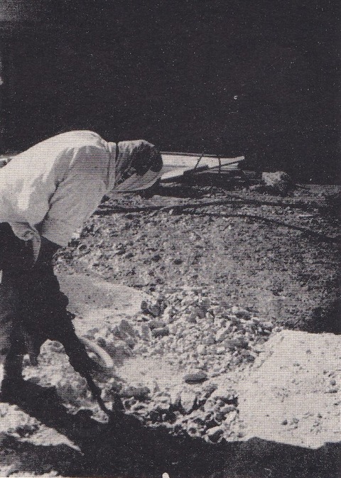 IMG_20210411_0003 (3)