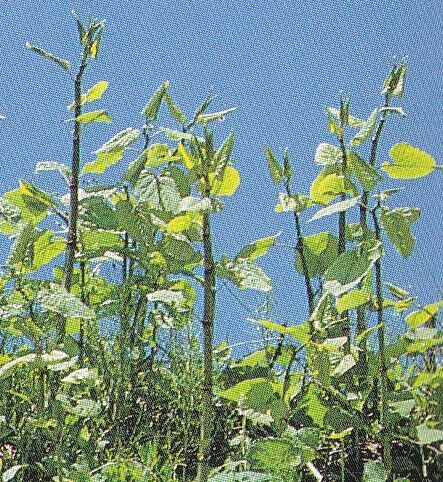 IMG_20211220_0001 (4)