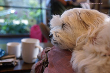 $KEIKO WALKER ☆ OFFICIAL BLOG +++keiko's secret garden+++