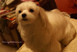 $KEIKO WALKER ☆ OFFICIAL BLOG +++keiko's secret garden+++