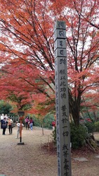 20151123_134335