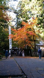 20151115_150110