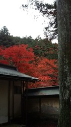20151115_高蔵寺