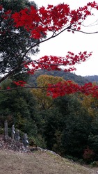 20151123_140456
