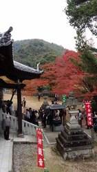 20151123_134935