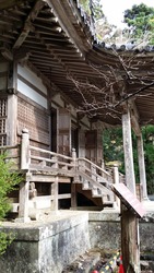 20151122_鳳来寺