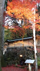 20151115_164631