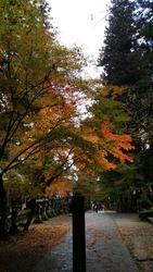20151115_谷汲山