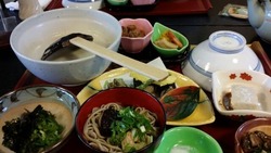 茶々