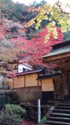 20151115_164638