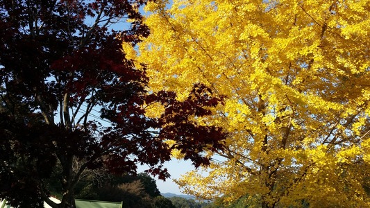 20161106_145411