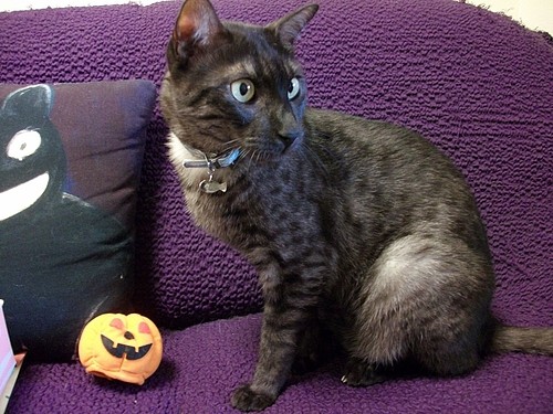 9977994d574b32a4d4e6-L[1]