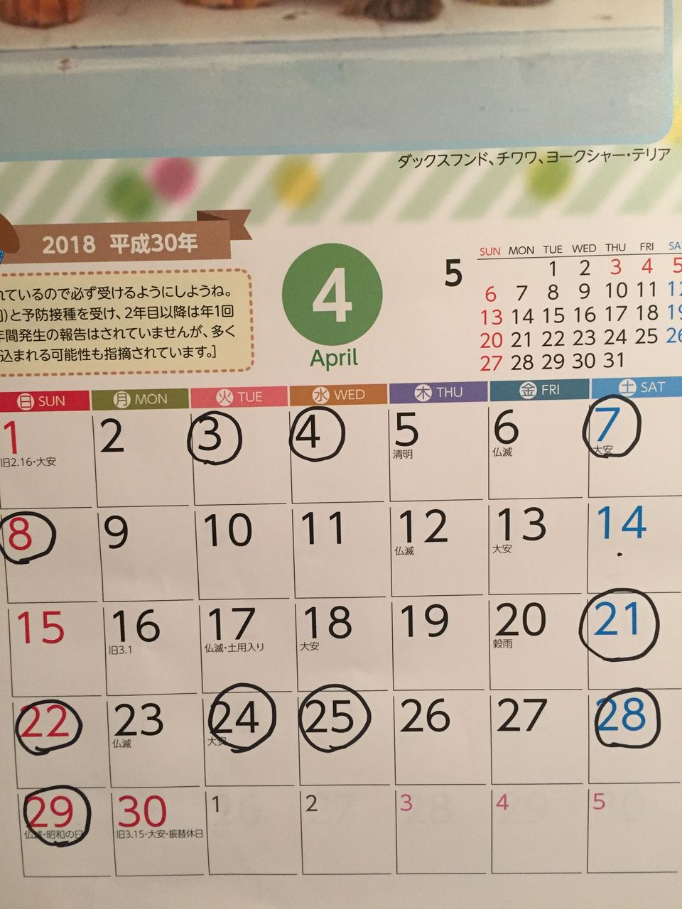 イメージ 3