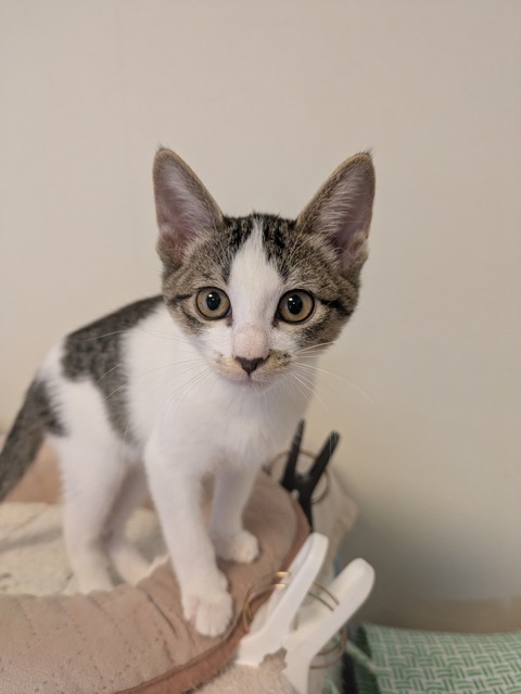 PXL_20251109_032625958