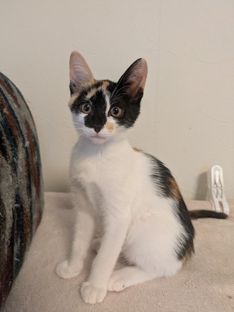 PXL_20251109_032617427